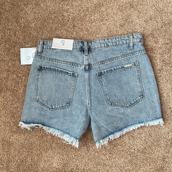 Insane Gene Rhinestone Fringe Cut Off Shorts - Picture 13 of 14